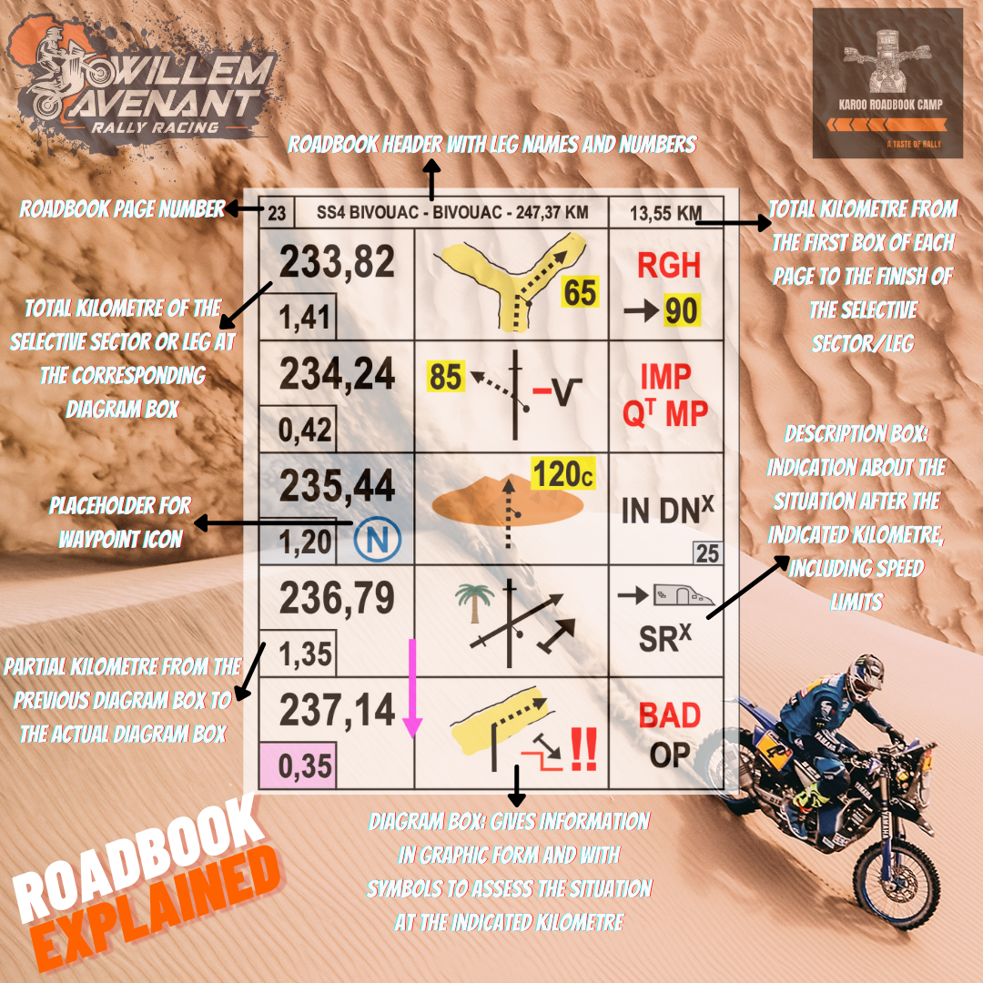 Introduction to Rally - ONLINE Class