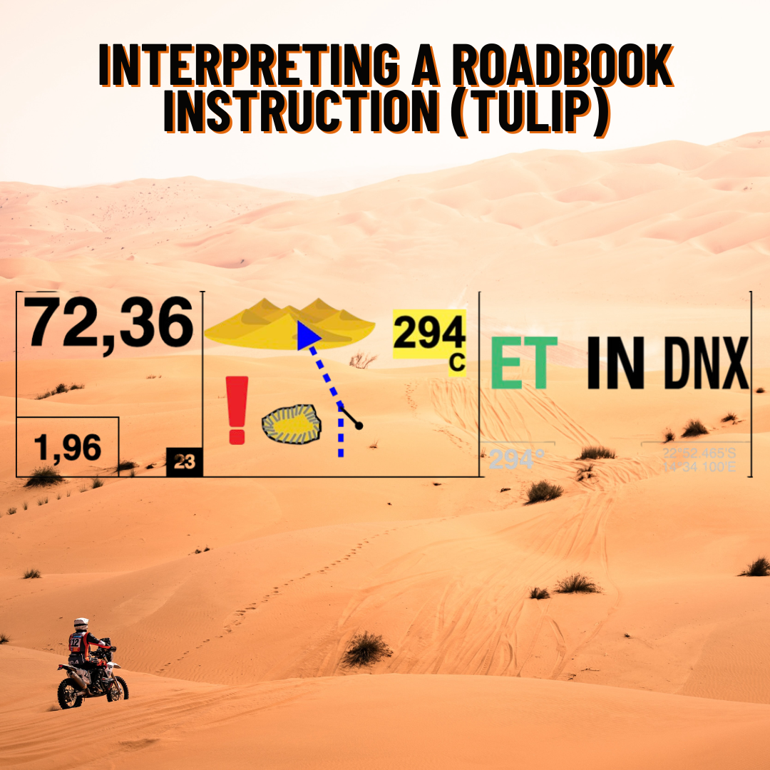 Introduction to Rally - ONLINE Class