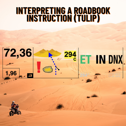 Introduction to Rally - ONLINE Class